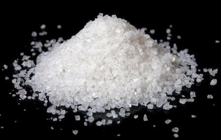 Stay Salty America